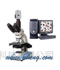 电脑型生物显微镜XSP7C | 电脑型生物显微镜XSP7C价格